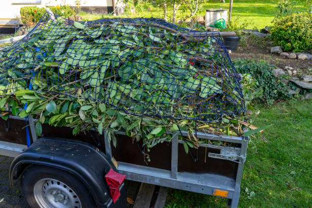 Best Dumpster Rental Services  in Beechwood Village, KY